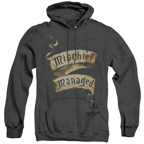 Image for Harry Potter Heather Hoodie - Michief Managed Ribbon