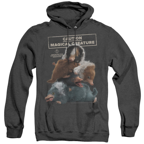 Image for Fantastic Beasts: the Crimes of Grindelwald Heather Hoodie - Cuddle Puddle