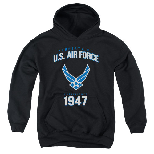Image for U.S. Air Force Youth Hoodie - Property of the United States Air Force