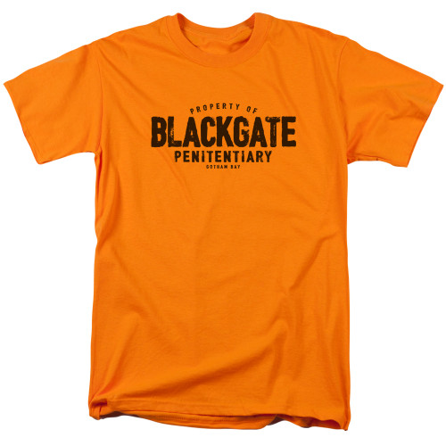 Image for Batman T-Shirt - Orangegate