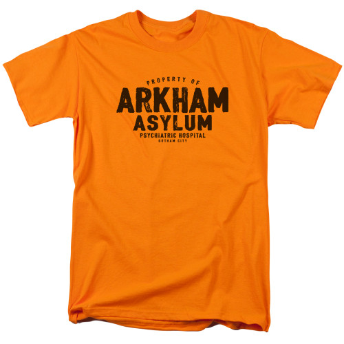 Image for Batman T-Shirt - Arkham Asylum