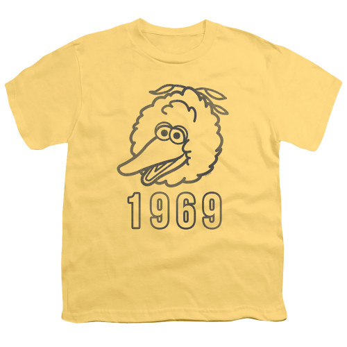 Image for Sesame Street Youth T-Shirt - Big Bird 1969