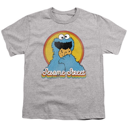 Image for Sesame Street Youth T-Shirt - Cookie Monster Layers