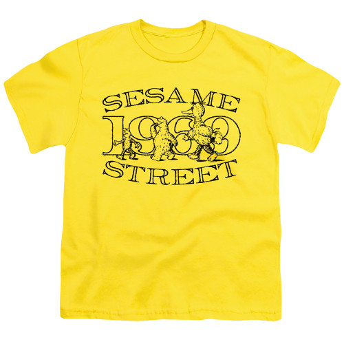 Image for Sesame Street Youth T-Shirt - Friend Stroll