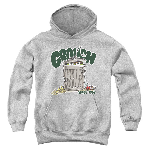 Image for Sesame Street Youth Hoodie - Grouch