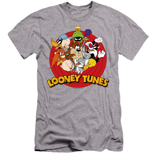 Image for Looney Tunes Premium Canvas Premium Shirt - Classic Group Logo