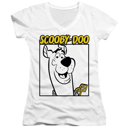 Image for Scooby Doo Girls V Neck T-Shirt - Scooby Square