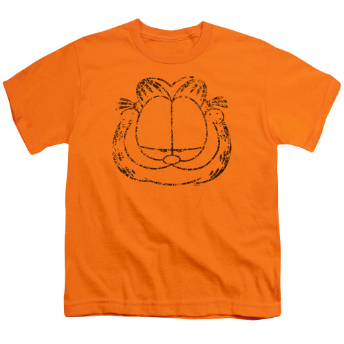 Image for Garfield Youth T-Shirt - Smirking Distressed