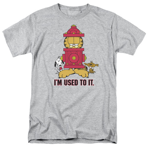 Image for Garfield T-Shirt - I'm Used To It