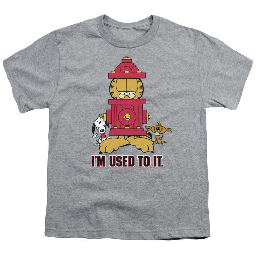 Image for Garfield Youth T-Shirt - I'm Used To It