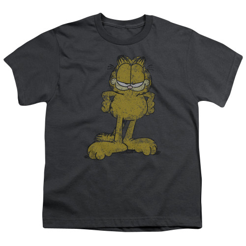 Image for Garfield Youth T-Shirt - Big Ol Cat