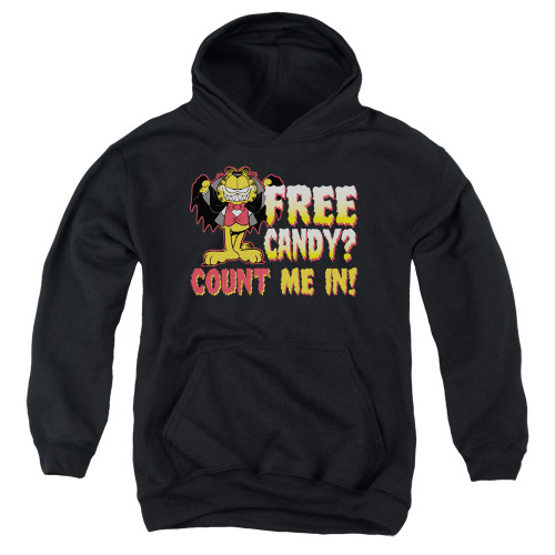 Image for Garfield Youth Hoodie - Count Me In