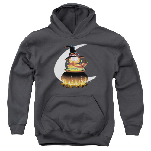 Image for Garfield Youth Hoodie - Stir the Pot