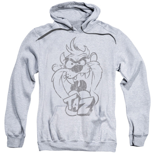 Image for Looney Tunes Hoodie - Faded Taz