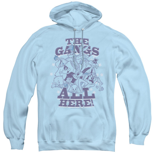 Image for Looney Tunes Hoodie - Blue Gang