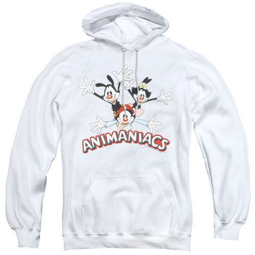 Image for Animaniacs Hoodie - Trio