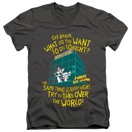 Image for Pinky and the Brain T-Shirt - V Neck - The World