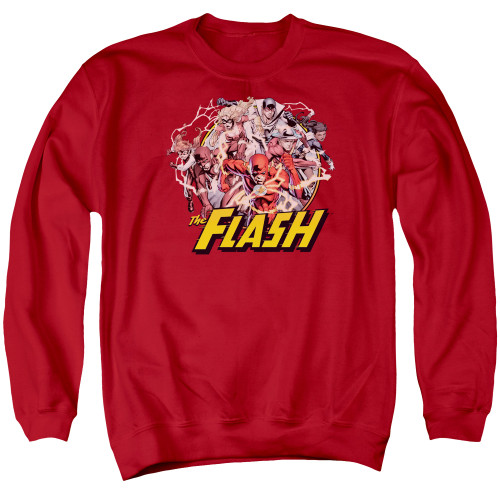 Image for Justice League of America Crewneck - Flash Family