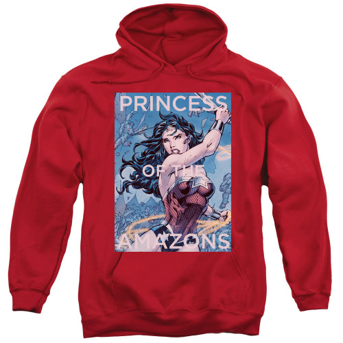 Image for Justice League of America Hoodie - Princess of the Amazons