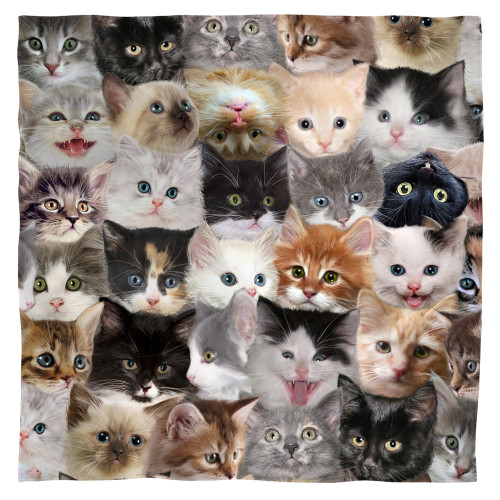 Image for Kittens Face Bandana -
