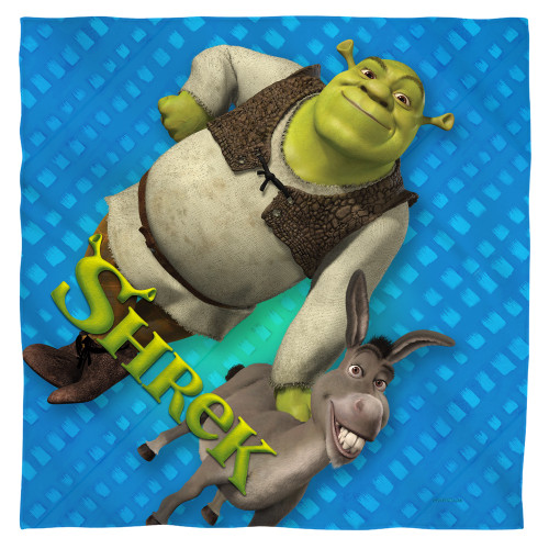 Image for Shrek Face Bandana -Pals