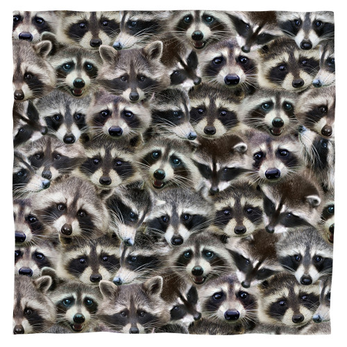 Image for Racoons Face Bandana -