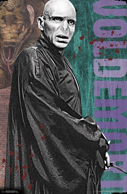 Image for Harry Potter Poster - Voldemort