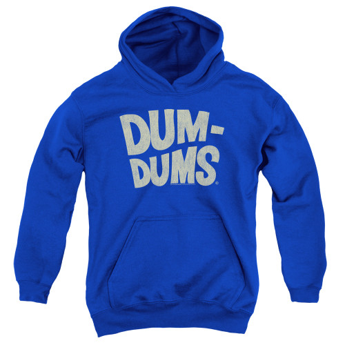 Image for Dum Dums Youth Hoodie - Distressed Logo