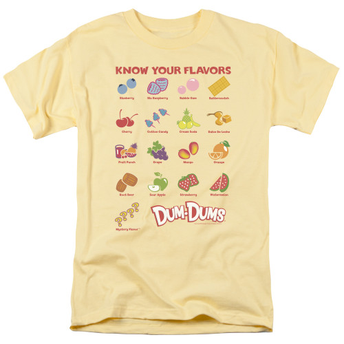 Image for Dum Dums T-Shirt - Flavors