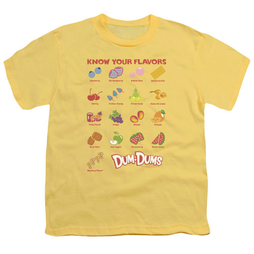 Image for Dum Dums Youth T-Shirt - Flavors