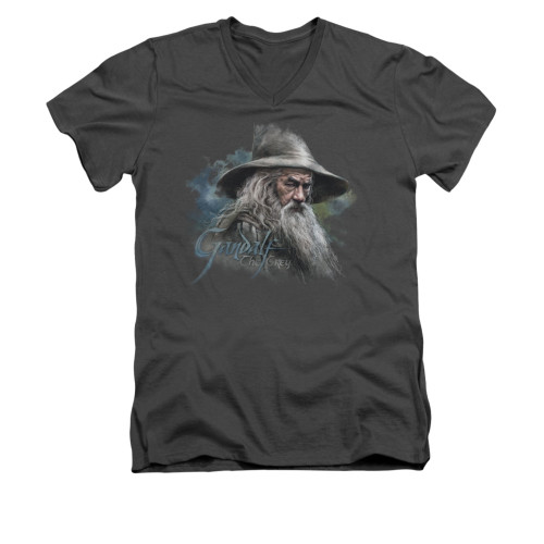 The Hobbit V-Neck T-Shirt - Gandalf the Grey