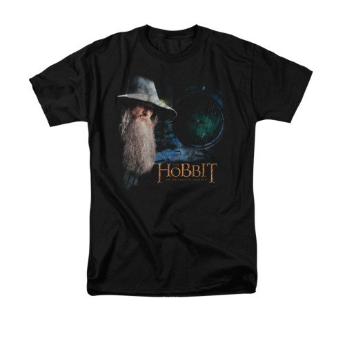 The Hobbit T-Shirt - The Door