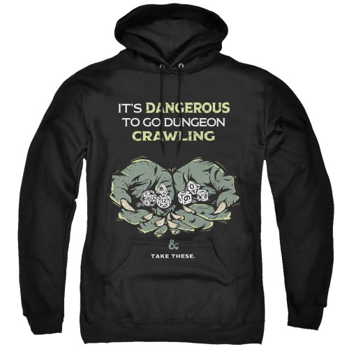 Image for Dungeons and Dragons Hoodie - Dangerous to Go Alone