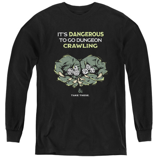 Image for Dungeons and Dragons Youth Long Sleeve T-Shirt - Dangerous to Go Alone