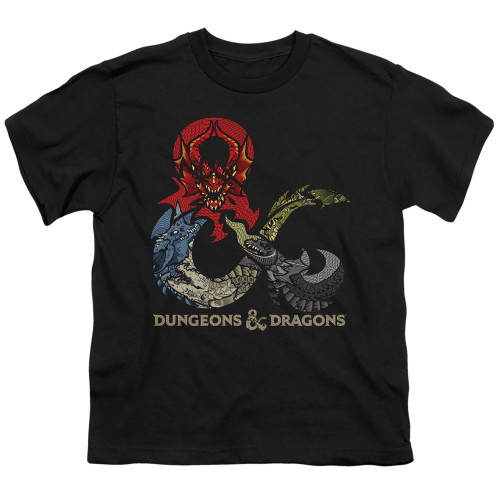 Image for Dungeons and Dragons Youth T-Shirt - Dragons in Dragons