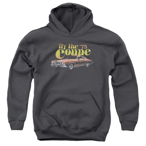 Image for Pontiac Youth Hoodie - Fly the Coupe