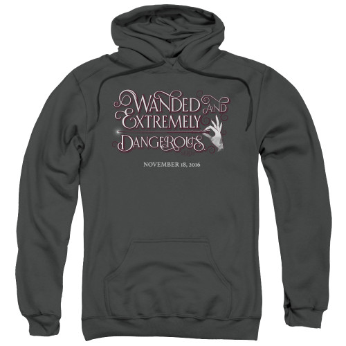 Image for Fantastic Beasts and Where to Find Them Hoodie - Wanded