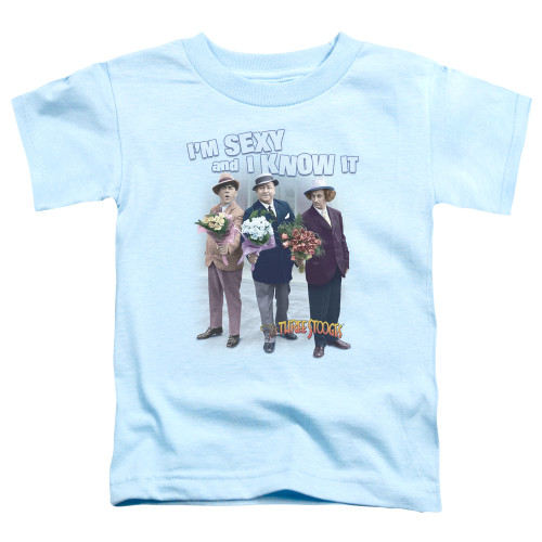 Image for The Three Stooges Toddler T-Shirt - Sexy