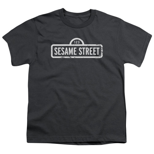 Image for Sesame Street Youth T-Shirt - One Color Logo