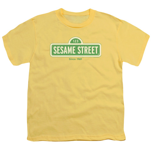 Image for Sesame Street Youth T-Shirt - Since 1969