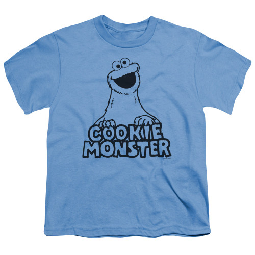 Image for Sesame Street Youth T-Shirt - Vintage Cookie Monster