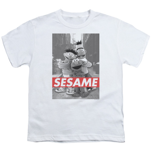 Image for Sesame Street Youth T-Shirt - Sesame