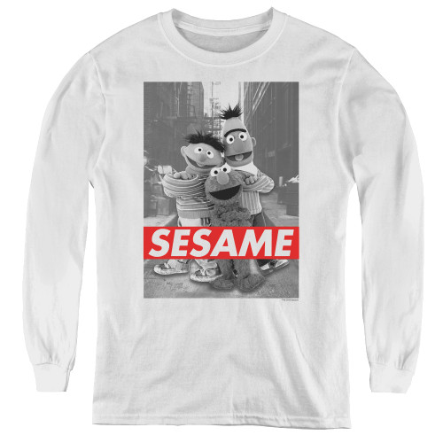 Image for Sesame Street Youth Long Sleeve T-Shirt - Sesame