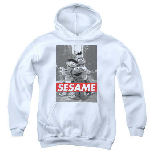 Image for Sesame Street Youth Hoodie - Sesame
