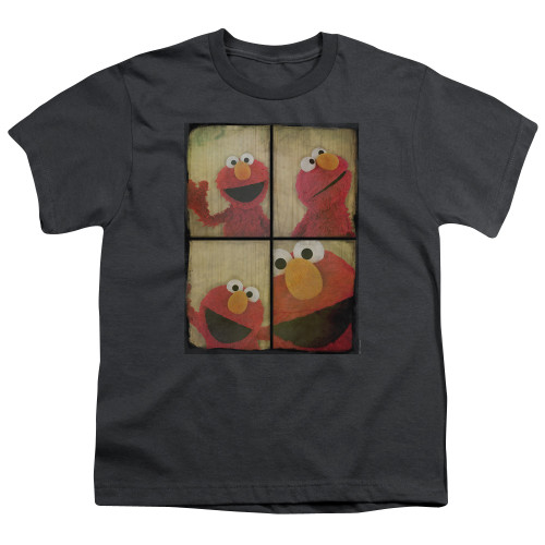 Image for Sesame Street Youth T-Shirt - Photo Booth Elmo