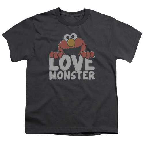 Image for Sesame Street Youth T-Shirt - Love Monster