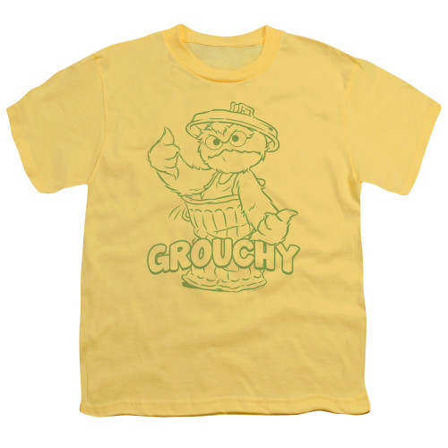 Image for Sesame Street Youth T-Shirt - Grouchy