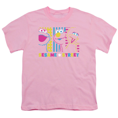 Image for Sesame Street Youth T-Shirt - See Em Why