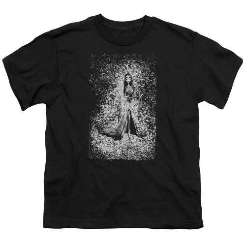 Image for Corpse Bride Youth T-Shirt - Bird Dissolve
