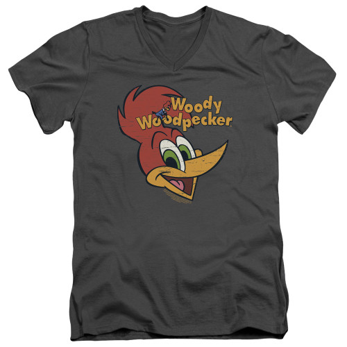 Image for Woody Woodpecker V-Neck T-Shirt Retro Logo